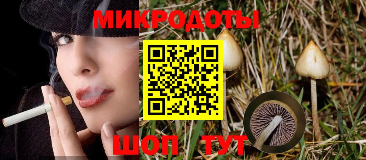Светлоград  Псилоцибиновые грибы Psilocybine cubensis  Вход с VPN  Псилоцибиновые грибы прущие грибы 